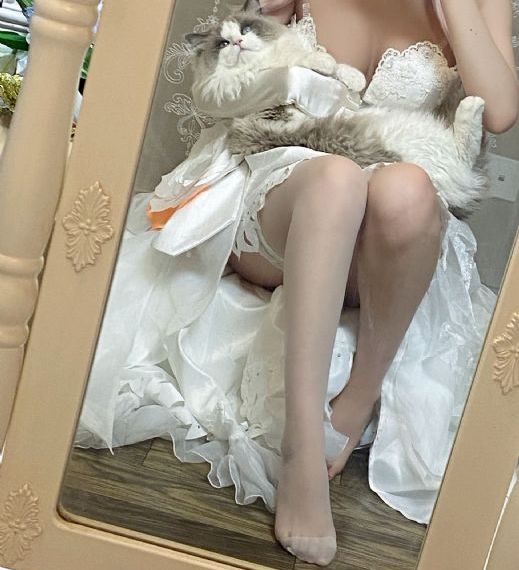 青娱视频在线观看精品_DVD高清在线